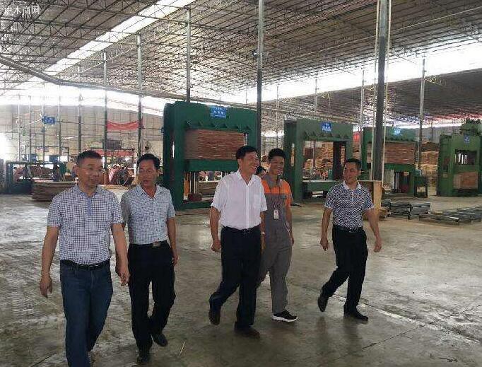 崇左市副市長一行考察山圩產業園