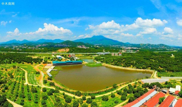 四川廣安生態(tài)木業(yè)產(chǎn)業(yè)園高質(zhì)量發(fā)展