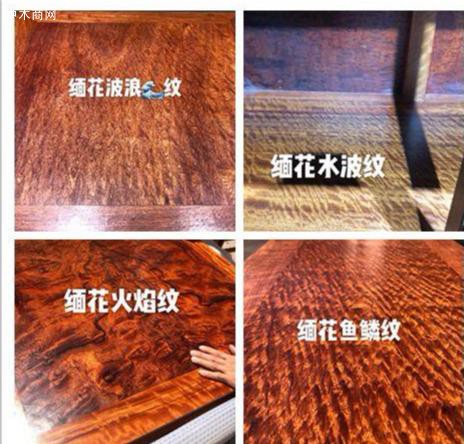 緬甸的名貴樹種非常多