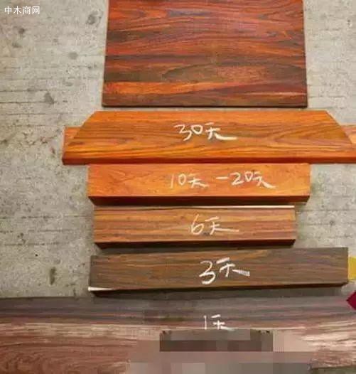 微凹黃檀
