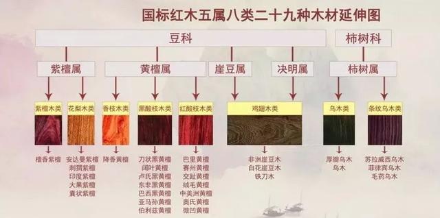 新木友確實(shí)需要一個(gè)簡單的排行指南