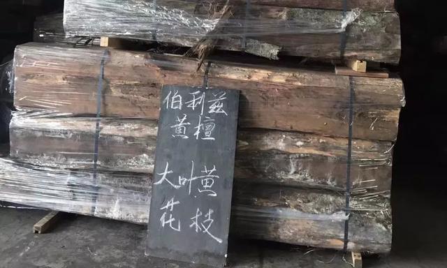 伯利茲黃檀