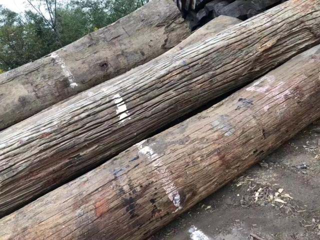 為什么市場上太便宜的紅木家具不能買