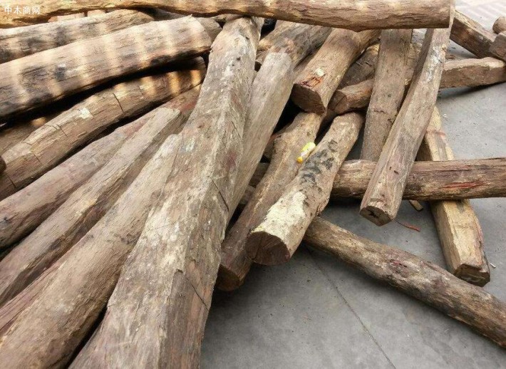 求購：白酸枝（奧氏黃檀）