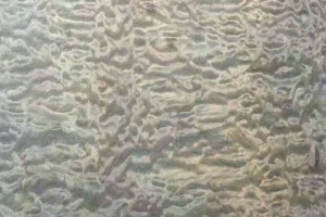 烏木金絲楠陰沉木板材