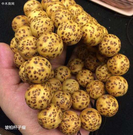 崖柏手串盤玩太短就上手戴了