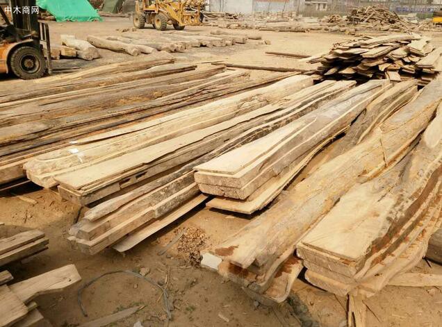 建議多花點錢用老榆木
