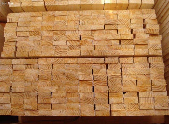 柏木建筑木方常用作裝修