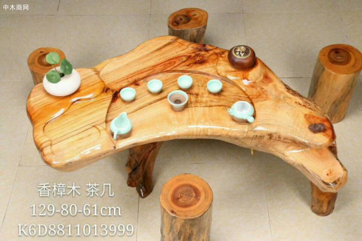 可以直接用新鮮的香樟木進行治療