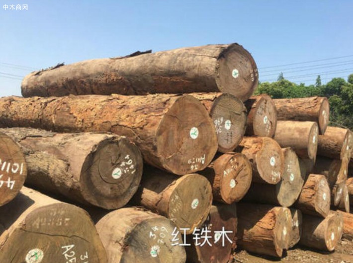 優質非洲紅鐵木原木批發