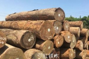 優質非洲紅鐵木原木批發