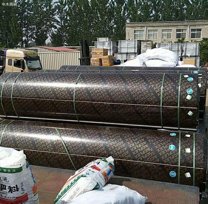 貴州圓模板廠家直銷