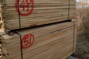 河南優質榆木家具烘干板材報價,榆木家具烘干板材批發