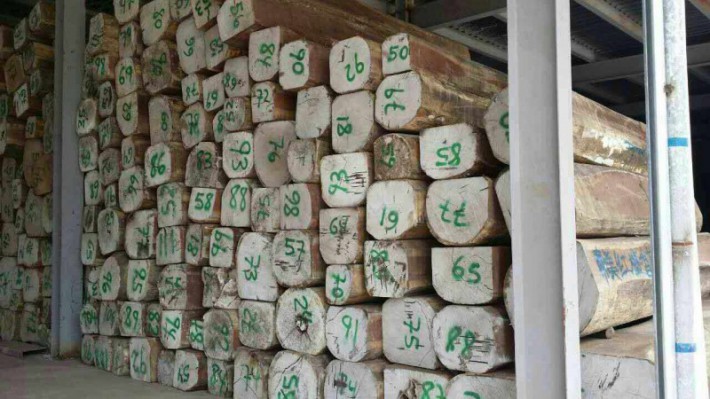 南美香花梨木原木大方廠家直銷
