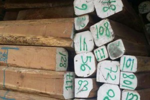 南美香花梨木原木大方廠家批發(fā)價(jià)格