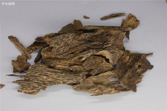 影響沉香香味的因素有哪些?你知道嗎品牌