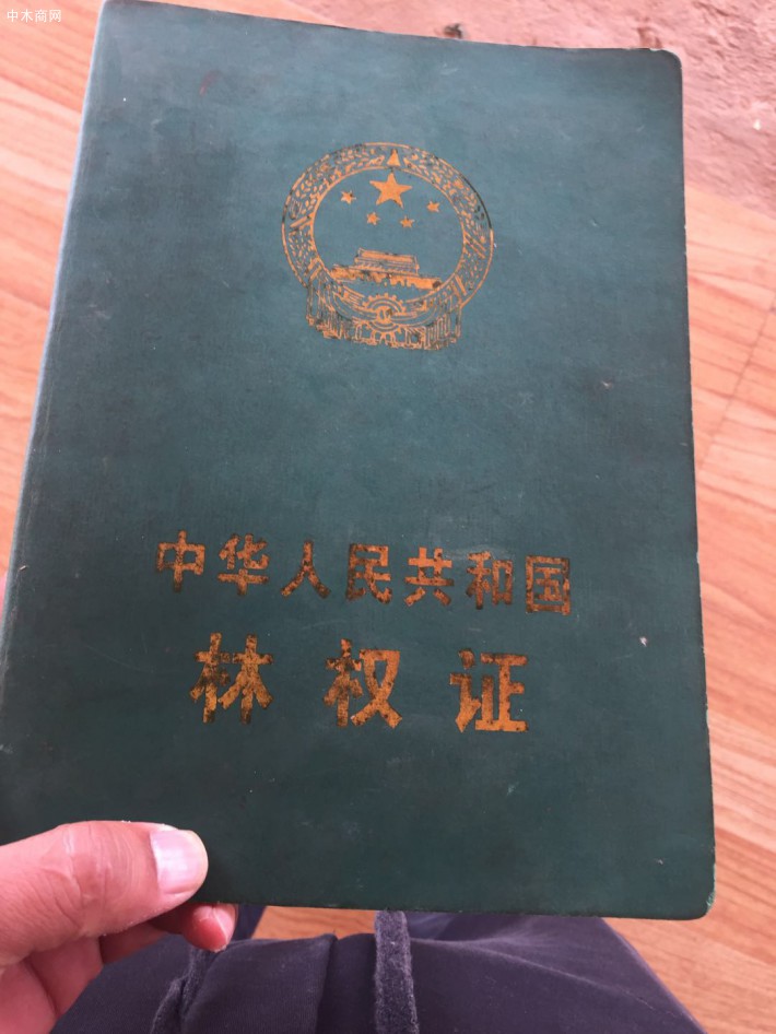 云南雜木原木原產(chǎn)地直銷,價(jià)格便宜廠家