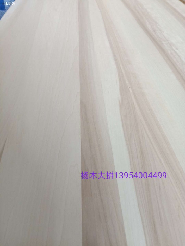 楊木直拼板材廠家批發(fā)價(jià)格采購(gòu)