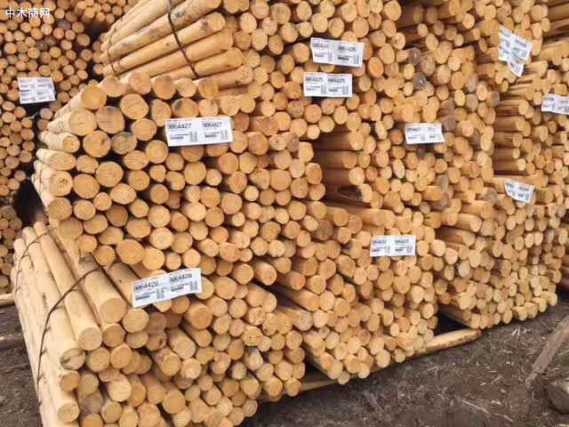 建筑木方,建筑模板,古建防腐木廠家批發
