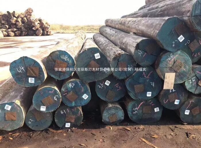 烏拉圭玫瑰桉原木(修枝材)廠家報價