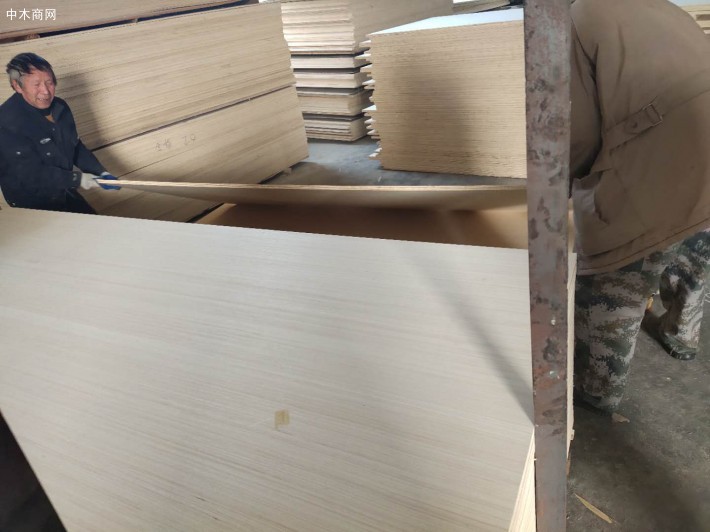 楊桉雙科家具板廠家生產細節視頻圖片