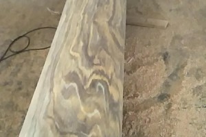 非洲菠蘿格