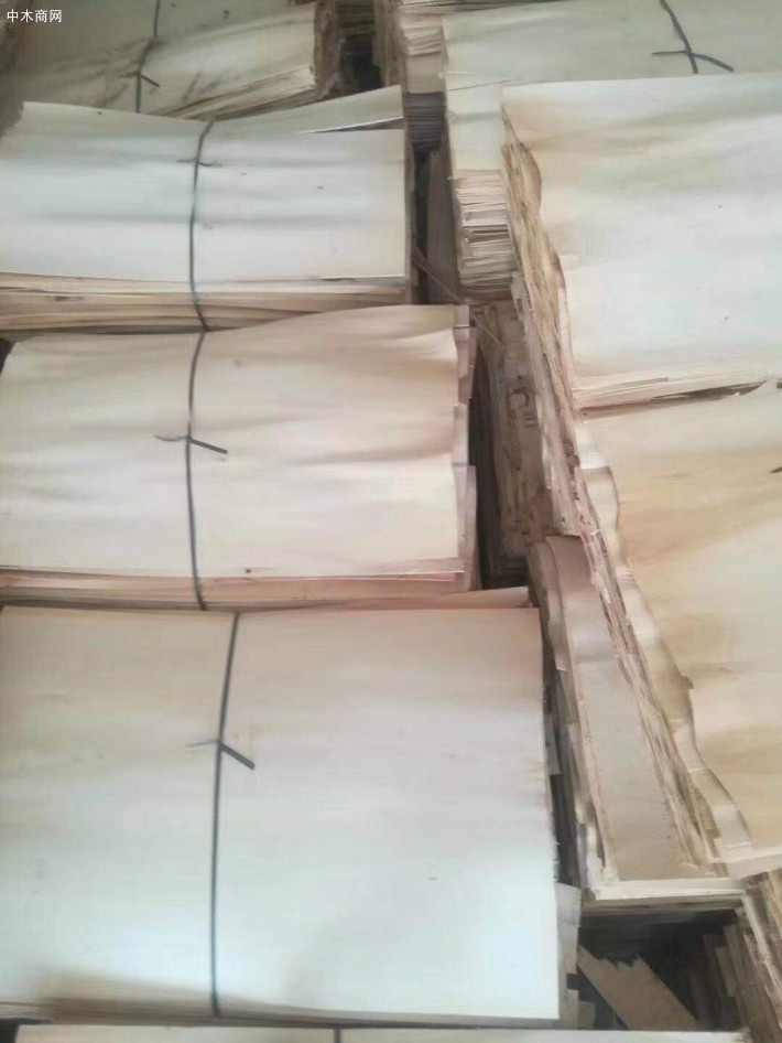 楊木三拼木皮1.75一級實物現貨視頻