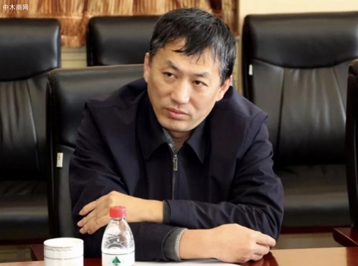 滿洲里市委副書記,市長包野主持召開木材產業發展座談會