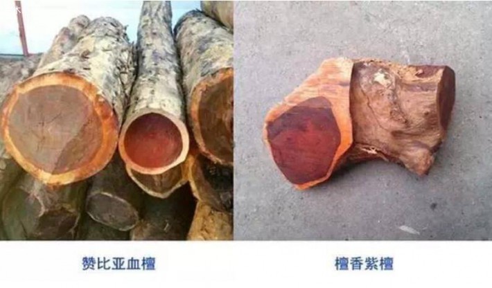 如何辨別贊比亞血檀和印度小葉紫檀的區別
