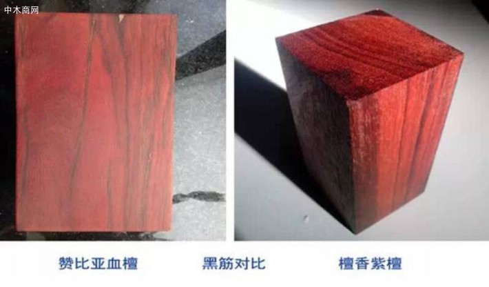 如何辨別贊比亞血檀和印度小葉紫檀的區別品牌
