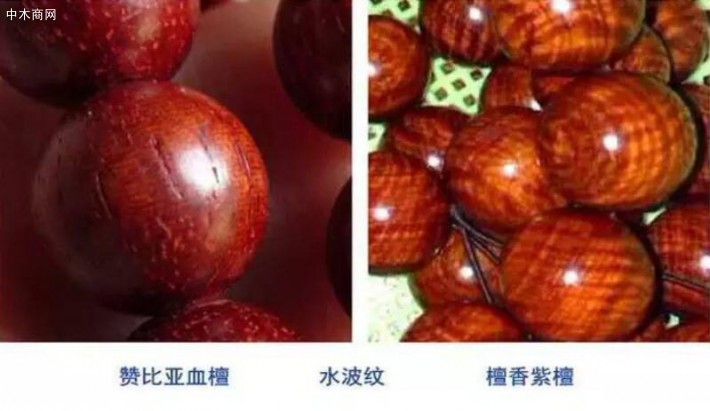 如何辨別贊比亞血檀和印度小葉紫檀的區別供應
