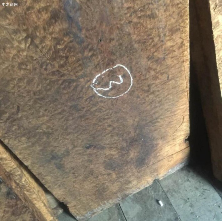 緬甸黃金樟大板料優(yōu)價批發(fā)優(yōu)先考慮緬甸木材廠家品牌
