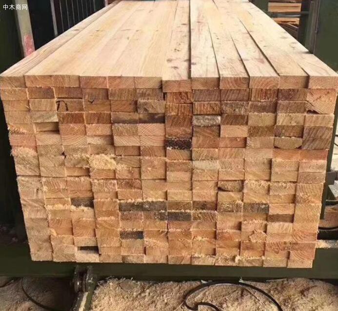 建筑工地用的建筑方木的價格多少圖片