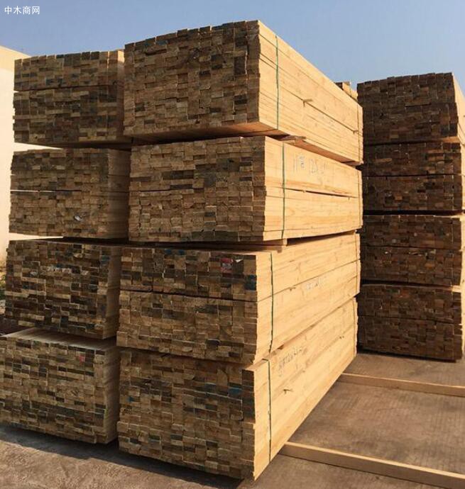 建筑支模用方木用途及價(jià)格是多少圖片