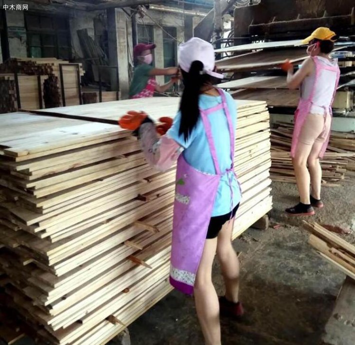 拼板廠家直銷高品質(zhì)實(shí)木杉木拼板多種規(guī)格均可加工定做廠家