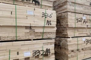 俄羅斯西伯利亞樺木2.5短才廠家直銷