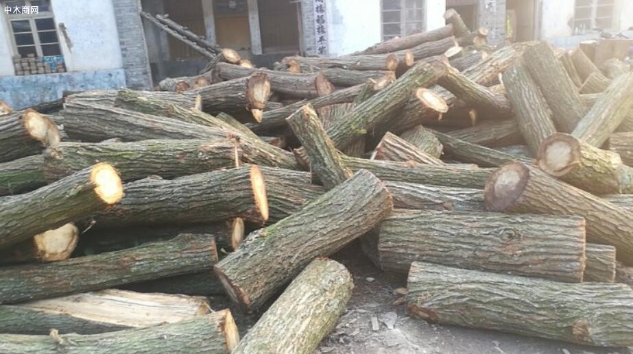 求購:柞木原木