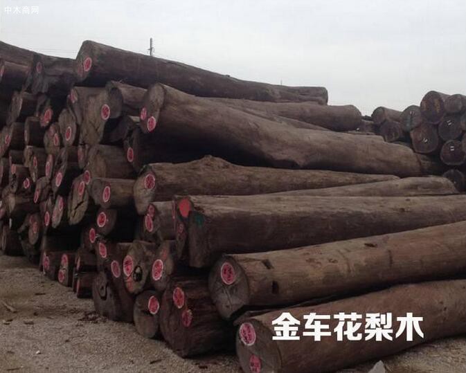 金車花梨木是什么木材?屬于紅木嗎圖片