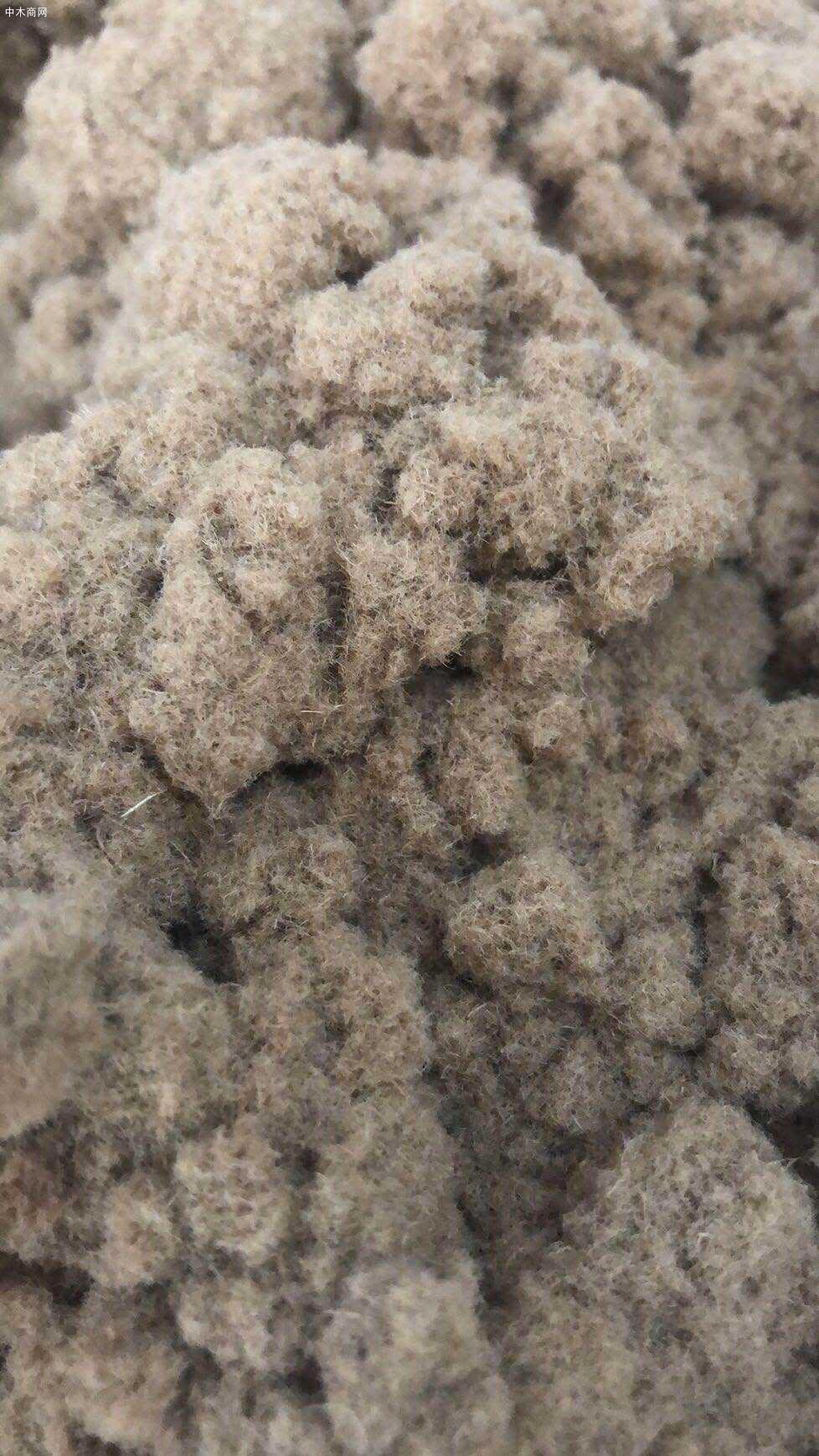 大量收購：造紙纖維和密度板纖維圖片