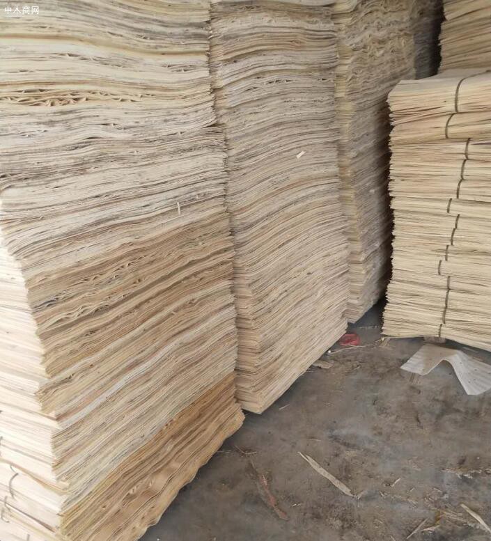 豐縣楊木三拼木皮廠家直銷