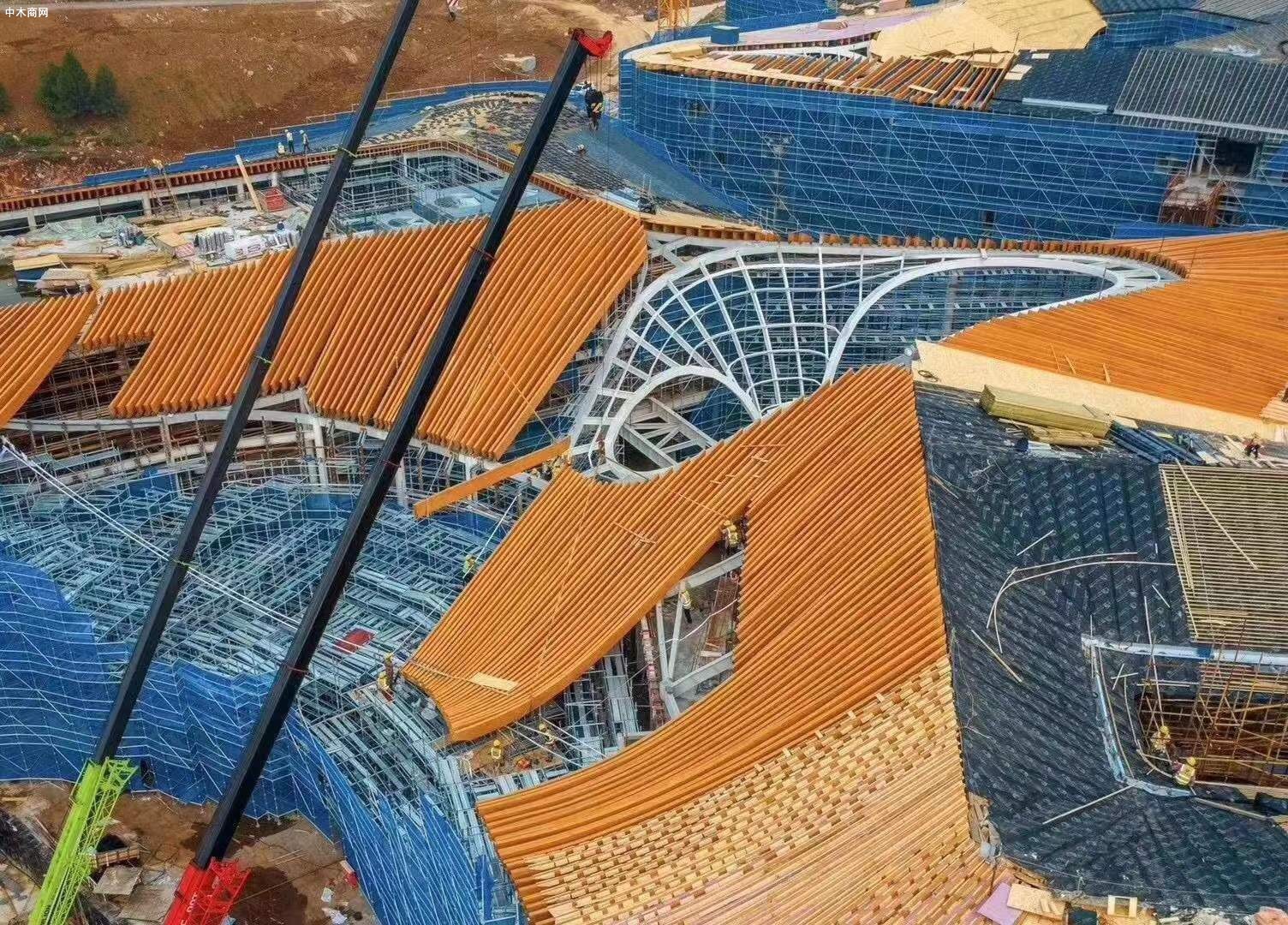 俄羅斯進口全樺木多層板,全樺木建筑覆膜板應用展示價格