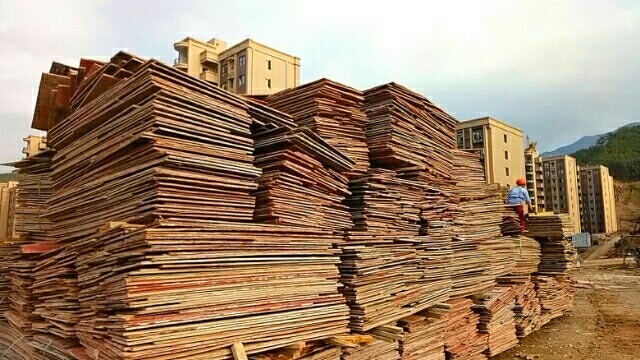福建工地建筑木柴出售與回收價格
