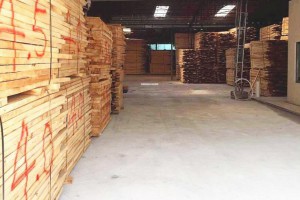 世界上最高木材建筑在密爾沃基落成