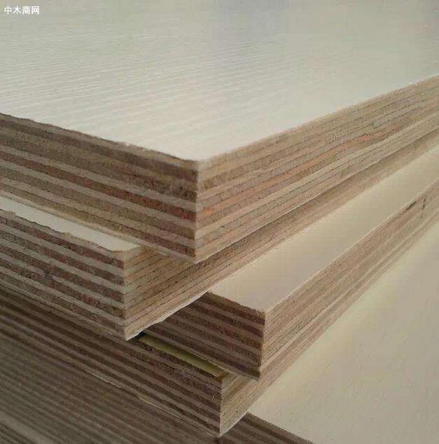 沭陽湯澗：加快推進木材行業轉型升級