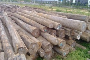 預計沃埃蘇木接下來市場整體形勢會有所好轉