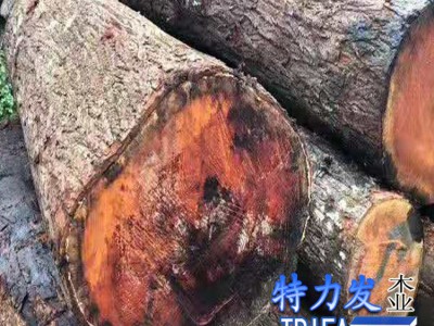 供應桃花芯原木 木方料 家具料 板材料 菜板料