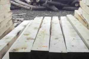 湖北香柏木板材大方廠家直銷