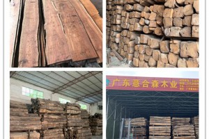 非洲加納北部刺猬紫檀原木一手貨源廠家直銷,可零售