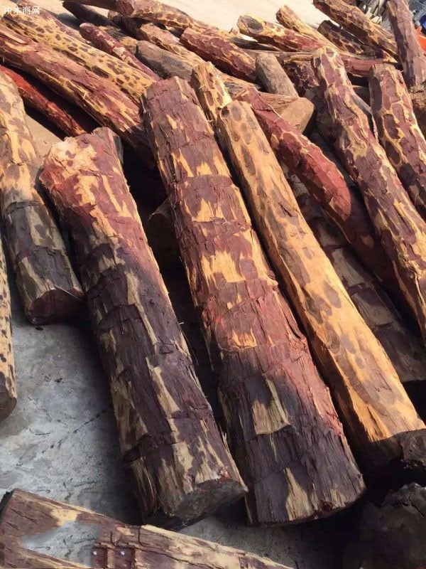 贊比亞血檀原木染料紫檀批發圖片