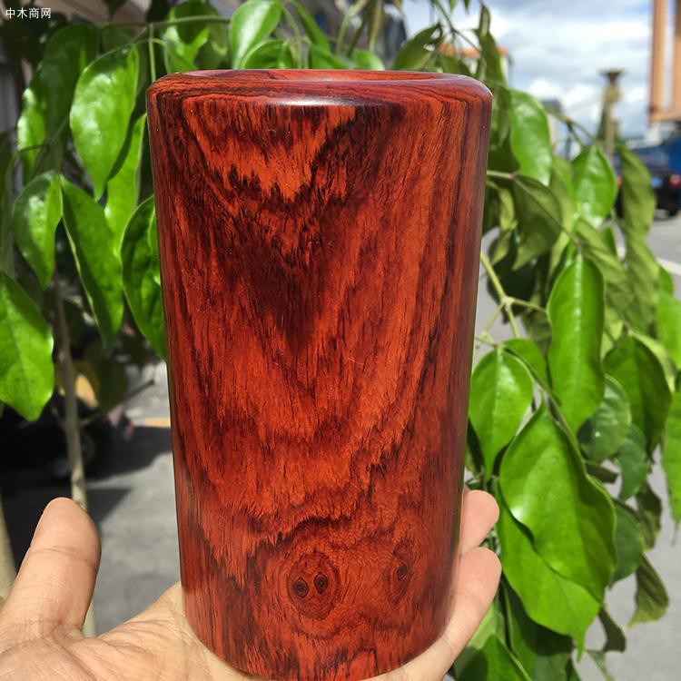 紅酸枝木功效以及特點介紹圖片